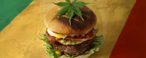 Elle sert un burger au cannabis à ses clients...